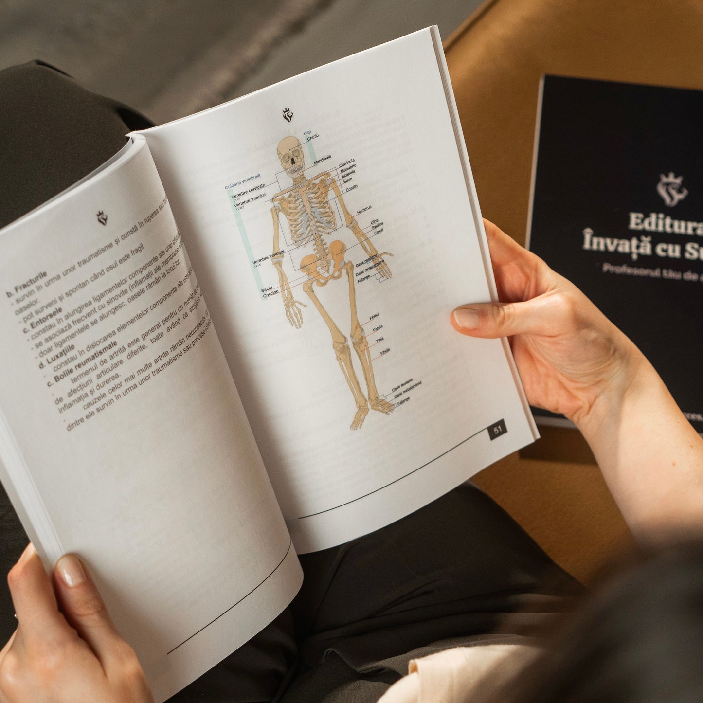 Toată materia structurată la Biologie: Anatomie și fiziologie umană clasele 11-12