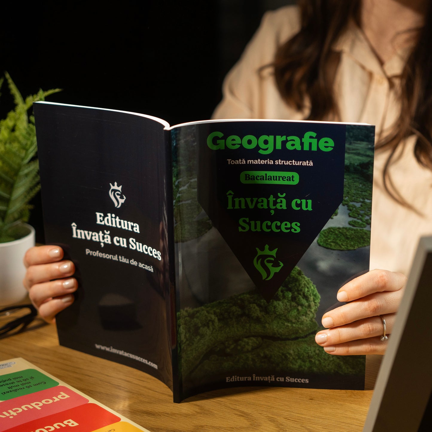 Toată materia structurata la Geografie pentru Bacalaureat